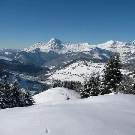 Le Wapiti, Aux Pieds Des Pistes, A 200m Du Village * Нотр-Дам-де-Белькомб