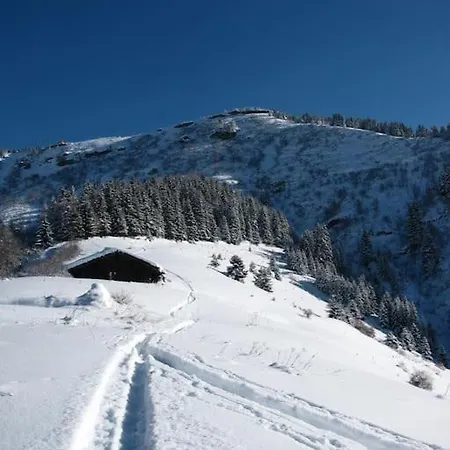 Шале Le Wapiti, Aux Pieds Des Pistes, A 200m Du Village