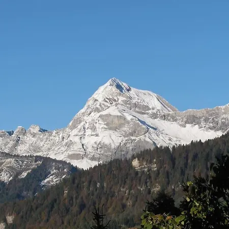 Le Wapiti, Aux Pieds Des Pistes, A 200m Du Village