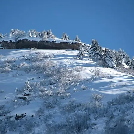 Le Wapiti, Aux Pieds Des Pistes, A 200m Du Village Нотр-Дам-де-Белькомб