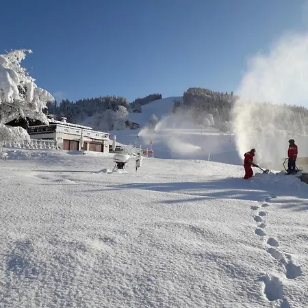 Le Wapiti, Aux Pieds Des Pistes, A 200m Du Village Нотр-Дам-де-Белькомб